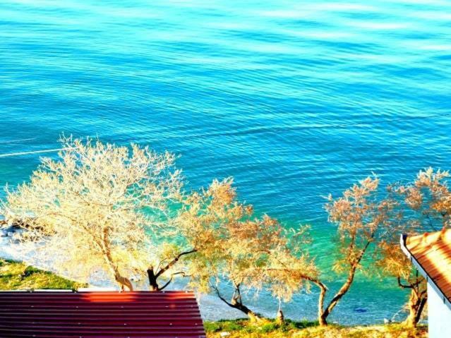 Littlevenice Appartme 50M From Sea Trogir Exterior foto